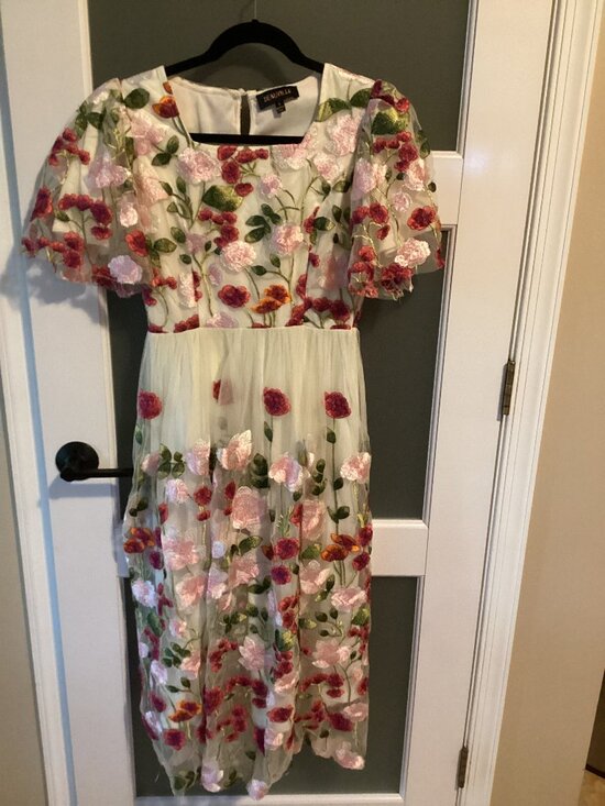 Deuville Dresses & Skirts - Deauville Ivory Floral Embroidered Midi Dress with 3D Flowers - Size Small - EUC
